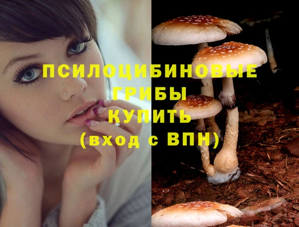 первитин Пролетарск